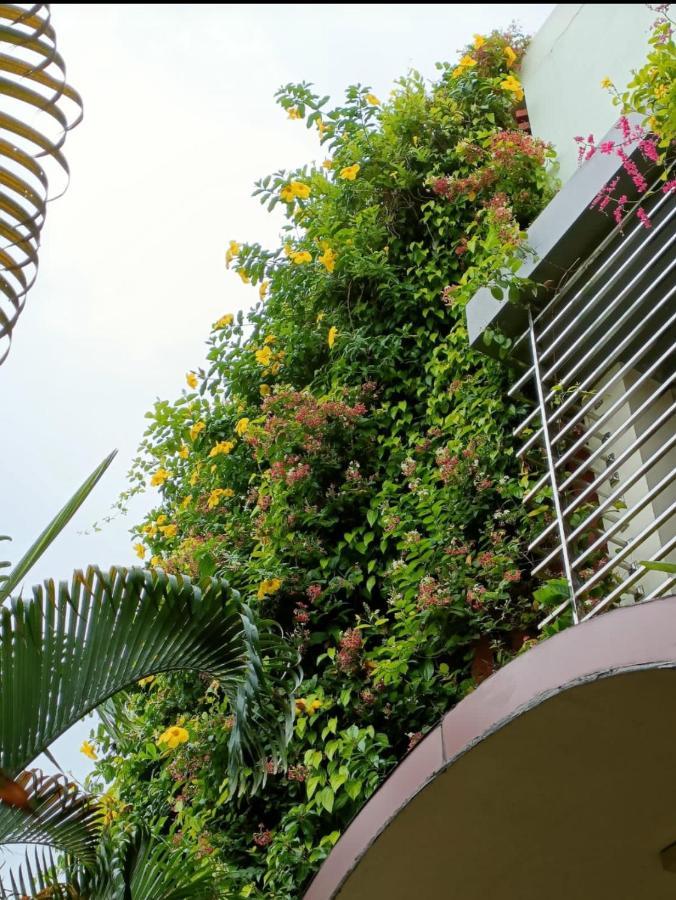 Mango Tree Homestay Hampi Exterior foto