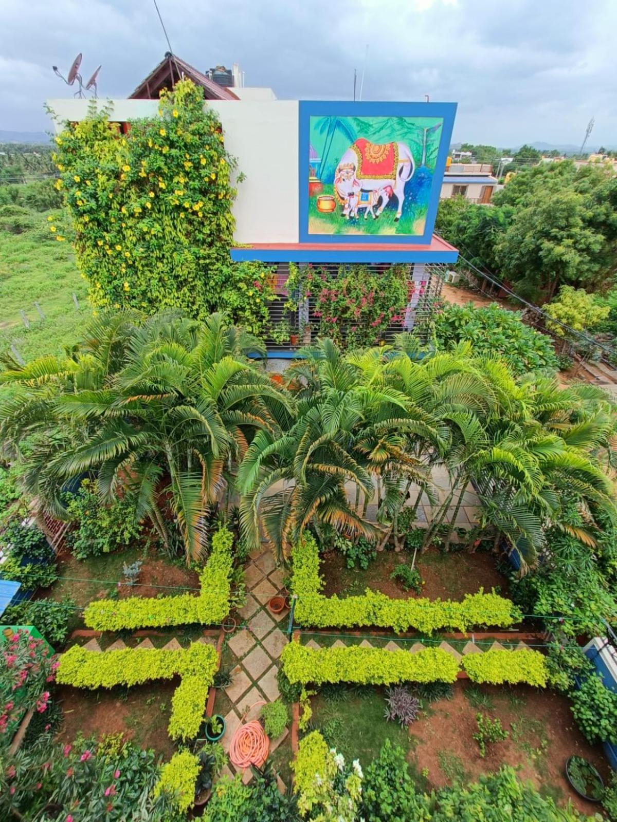 Mango Tree Homestay Hampi Exterior foto